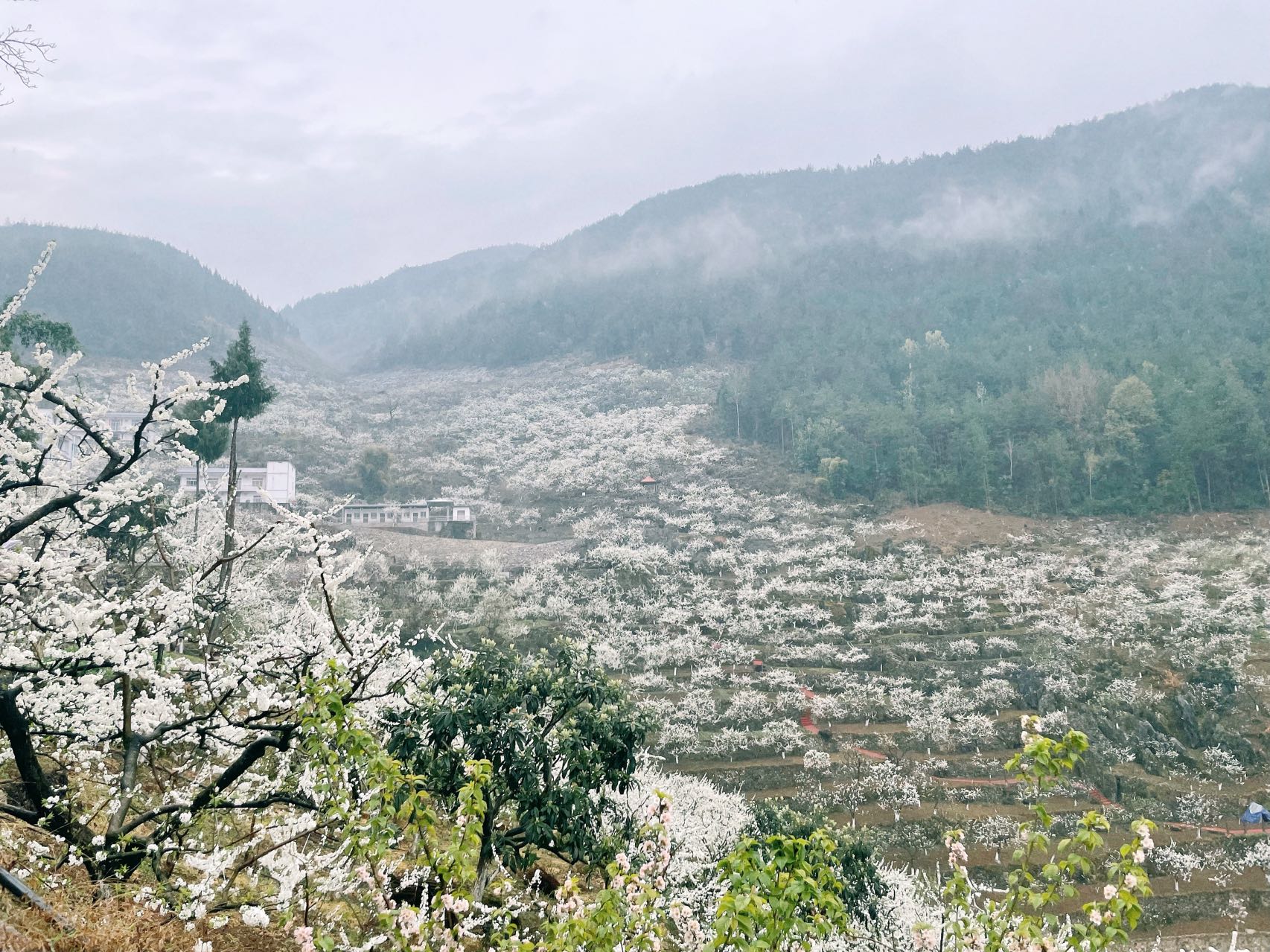 1655707341849834.jpg 1655707341849834.jpg