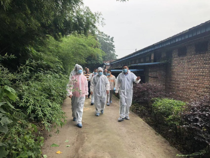 1656051590215072.png 1656051590215072.png